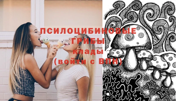 бошки Баксан