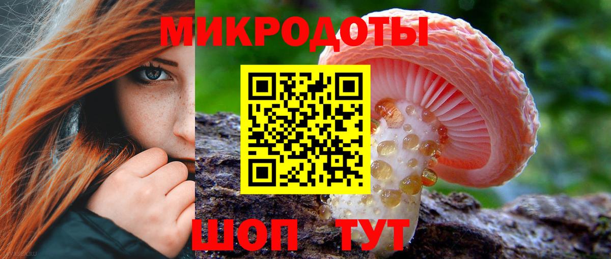 Псилоцибиновые грибы MAGIC MUSHROOMS  Вход с VPN  Верхняя Пышма 