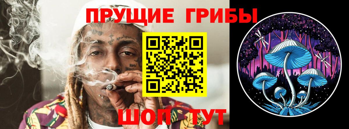 Псилоцибиновые грибы Psilocybine cubensis Верхняя Пышма