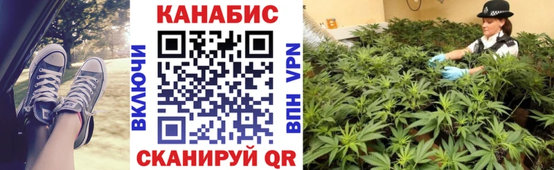Бошки Шишки OG Kush закладка Верхняя Пышма